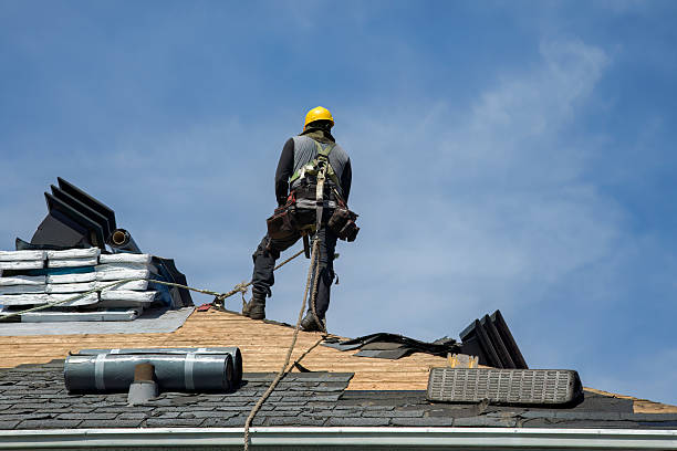 Professional Roof Repair technician working in Palestine, IL